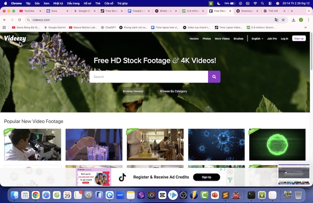 Top 5 Nguồn Video Miễn Phí Không Bản Quyển Cực Chất Cho Editor 2026